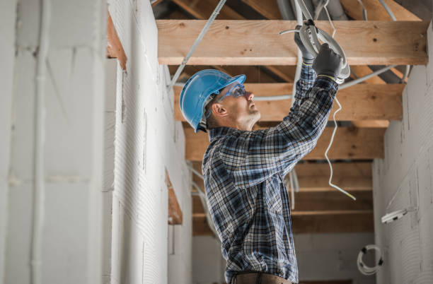 Best Electric Panel Repair  in Murfreesboro, TN